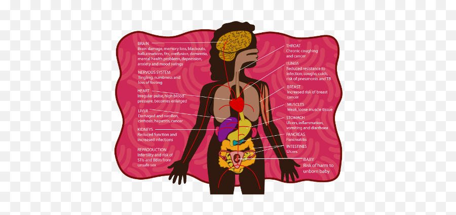 What Aboriginal Women Need To Know About Alcohol - Alcohol Effects On Women Emoji,Alcohol Emotions