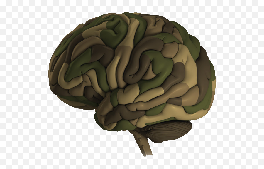 Jeffrey Spielberg Jeffrey M - Mental Health Veterans Emoji,Emotion Brain