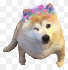 Popular And Trending - He Wimk At You Emoji,Shibe Emoji