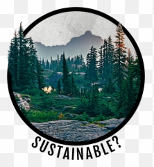 Butternut Squash - Sustainability Emoji,Butternut Squash With A Human Face And Emotions