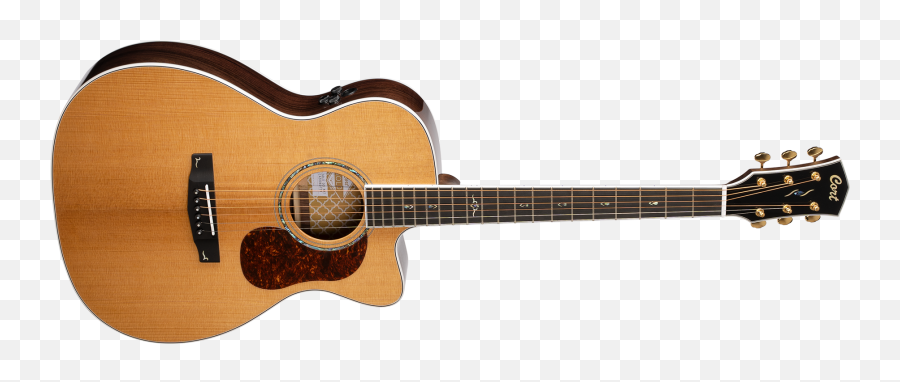 Cort Gold - Martin D28 John Lenon Emoji,Guitars Display Emotion