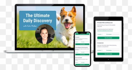 Training The Incredible K9 Online Dog Training Programs Emoji,Dogs With Emotions Excited