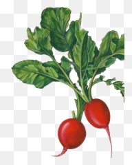Emoji,Beatroot Emoji