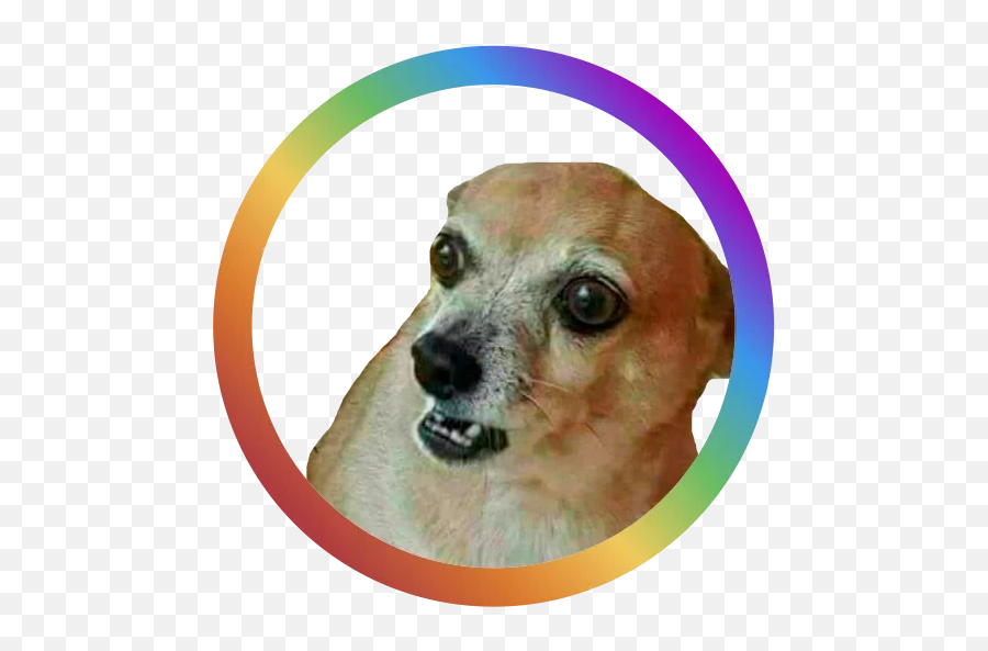 Dog Faces Telegram Stickers Emoji,Dog Emoji Meme