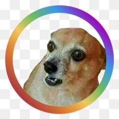 Dog Faces Telegram Stickers Emoji,Dog Emoji Meme