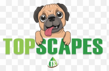 Top Scapes Emoji,Riding Lawn Mower Emoji