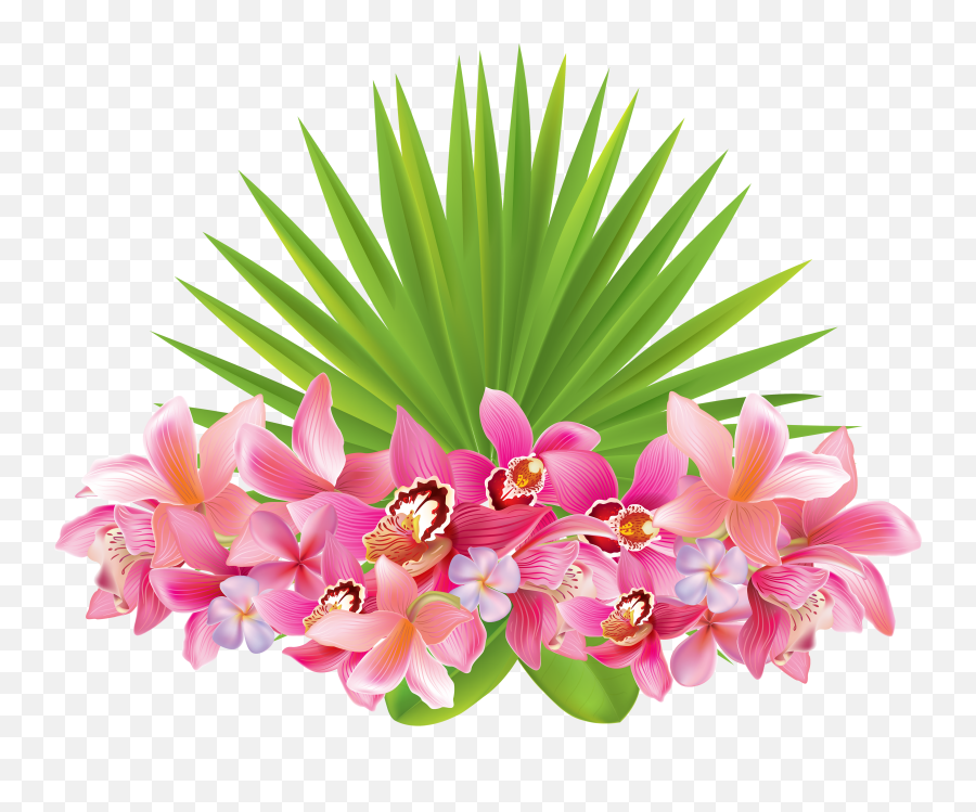 Png Tropical U0026 Free Tropicalpng Transparent Images 60159 - Tropical Flowers Png Transparent Emoji,Tropical Flower Emoji