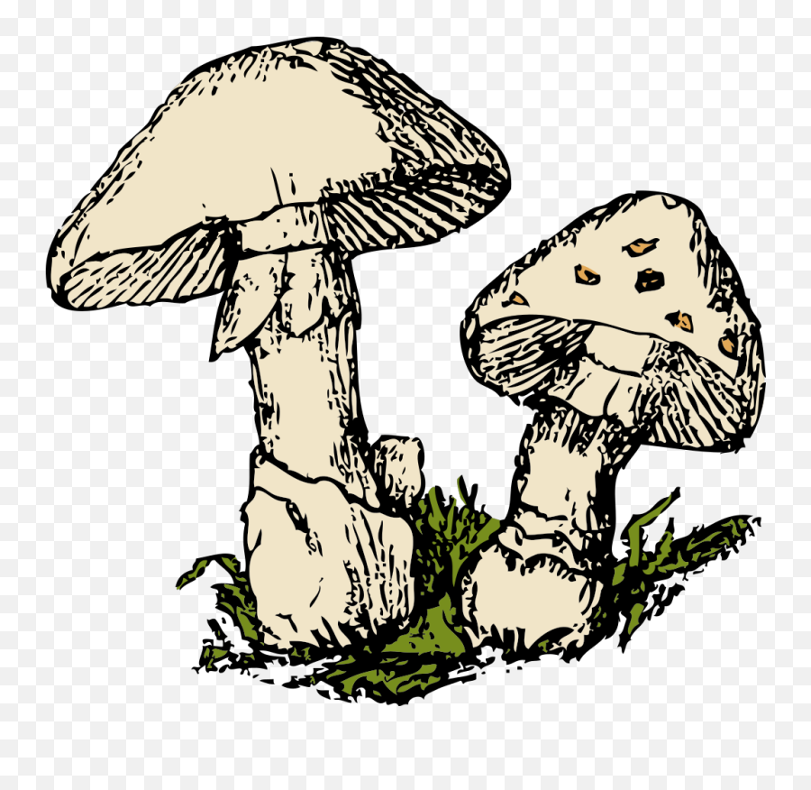 Two Mushrooms Svg Clip Arts - Clipart Mushroom Emoji,Emoji Mushroom Cloud
