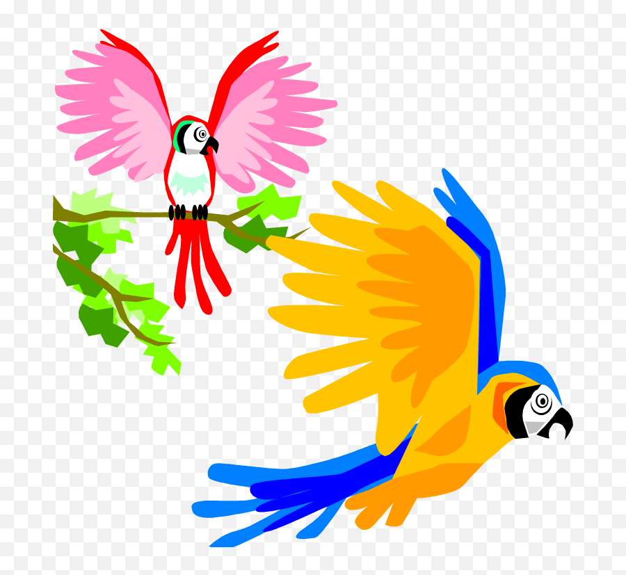 Free Cartoon Pictures Of Parrots Download Free Clip Art - Colorful Birds Flying Clipart Emoji,Unicorn Emoji Perler Beads