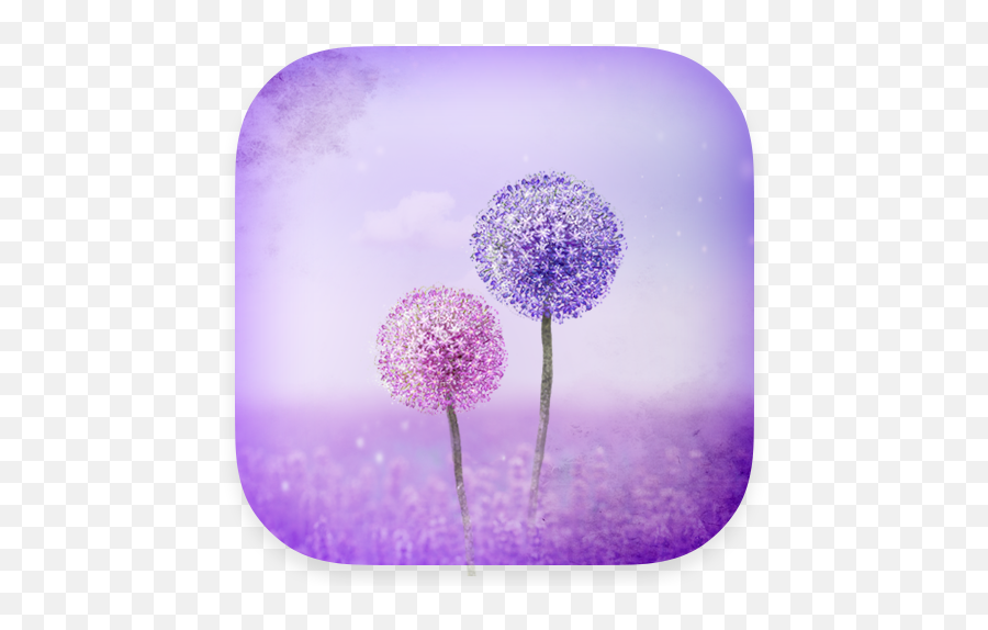 Purple Dandelion Emoji,Dandelion Emoji