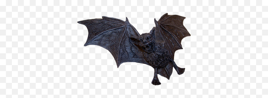 Free Photo Tropics Bats Batman Depend - We Do In The Shadows Poster Funny Emoji,Bat Emotion