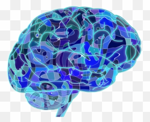 Music Lovers Have More Brain Connectivity - Brain Science Emoji,Brain Processing Emotions