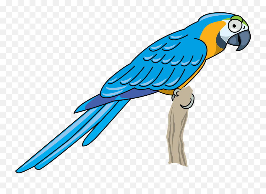 Parrot Clipart - Parrot Clipart Emoji,Parrot Emoji