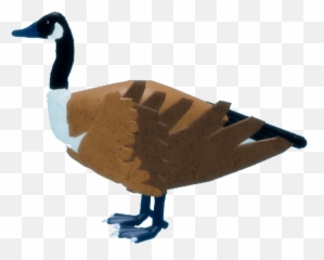 Goose - Goose Feather Family Roblox Emoji,Canadian Goose Emoticon