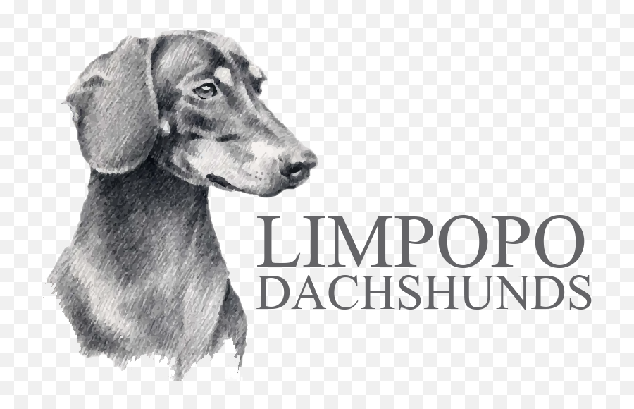 Logo - Final Dachshund Tshirt Your Dog Name Full Size Emoji,Dachshund Emoticon Facebook