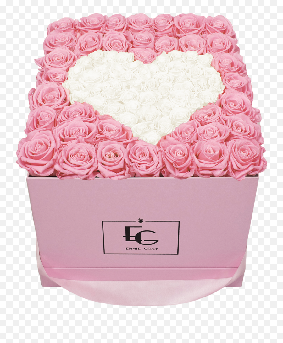 Valentines Day Special Emmie Gray Emoji,Xgs Heart Emoticon