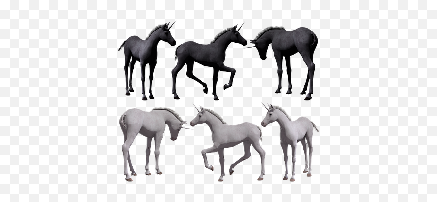 20 Free Prance U0026 Horse Images Emoji,Disco Dancer Emoji