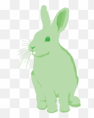 Facts About Bunny Teeth - Domestic Rabbit Emoji,Rabbit Emotions
