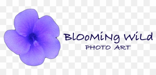 Shop Art Photography Emoji,Untammed Emotion