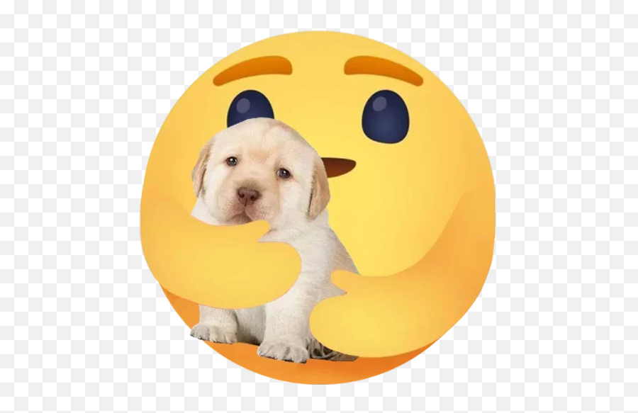 Telegram Sticker From Afios Orolo Pack Emoji,Bichon Emoji