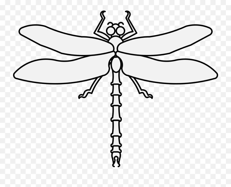 Dragonfly Clipart Traceable Dragonfly - Dragonfly Clipart Black And Whire Emoji,Dragonfly Emoji