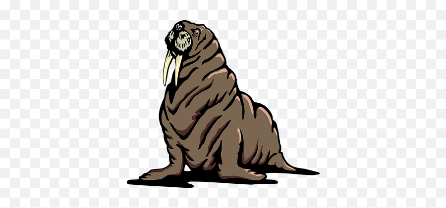 30 Free Flapping U0026 Bird Vectors - Pixabay Walrus Clip Art Transparent Emoji,Walrus Emoticon