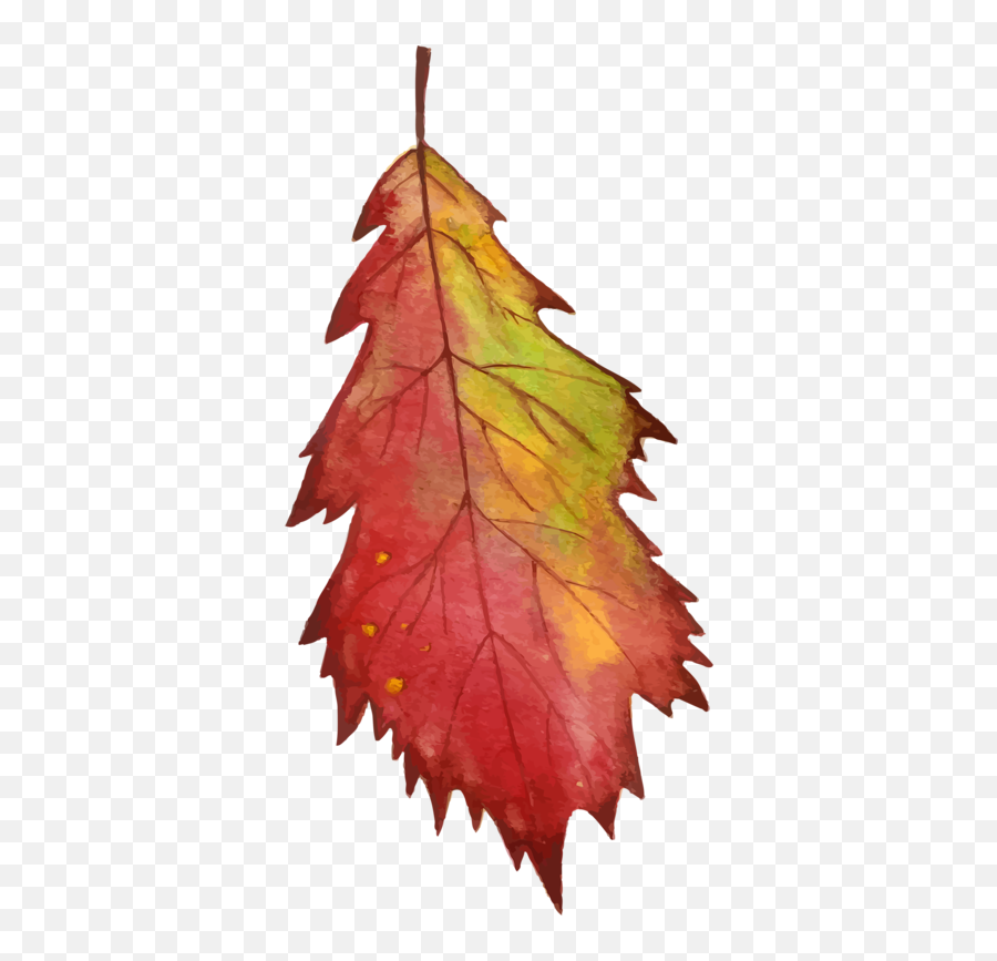Autumn Leaves Art Autumn Painting Emoji,Fall Leave Emoji