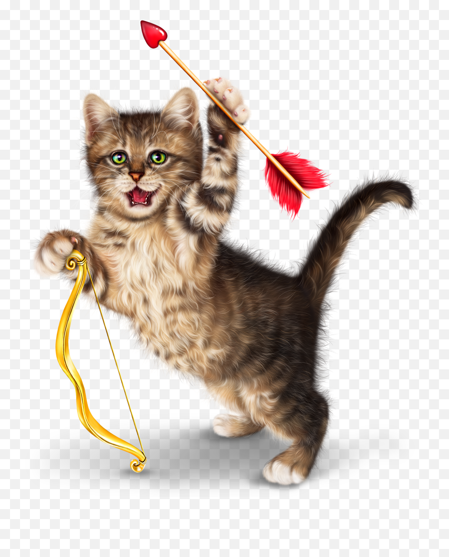 Pretty Wallpapers - Cat Toy Emoji,Facebook Grumpy Cat Emoticon