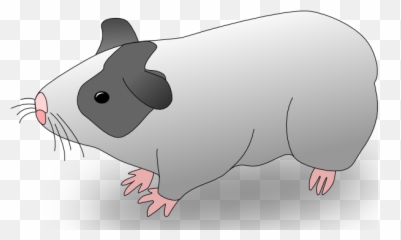 Ernes Cavia Guinea Pig Clip Art - Clip Art Marmut Emoji,Animasi Emotion