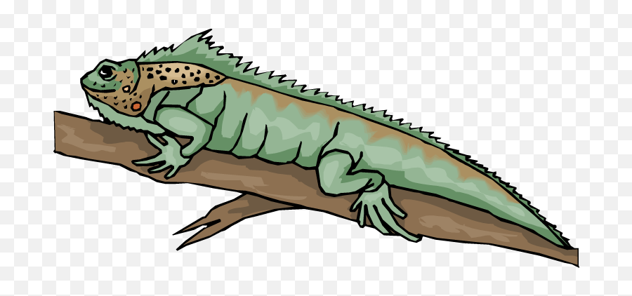 Free Free Lizard Cliparts Download Free Clip Art Free Clip - Lizard In A Tree Png Emoji,Do Bearded Dragons Change Color Do To Emotion