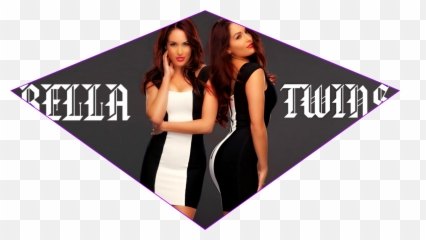 Nikki Bella Sticker Emoji,Nikki Bella Emoji