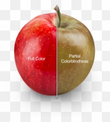 Colourblindred - Superfood Emoji,Catfight Emoticon
