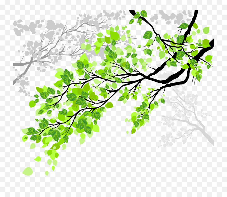 Mq Greem White Vine Tree Sticker - Tree Window Png Emoji,Greem Emoji