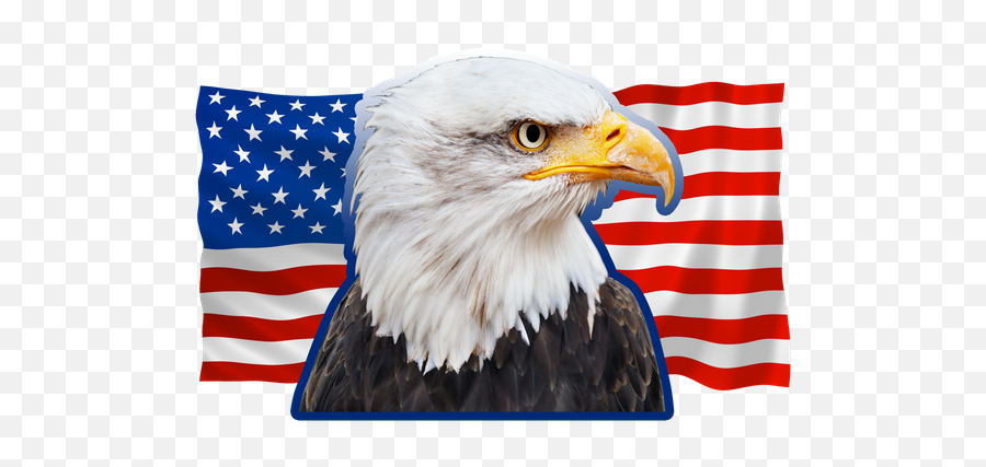 American Flag Outdoor Floor Cushion - Polyester Flags Emoji,Eagle Emoticon Ipad