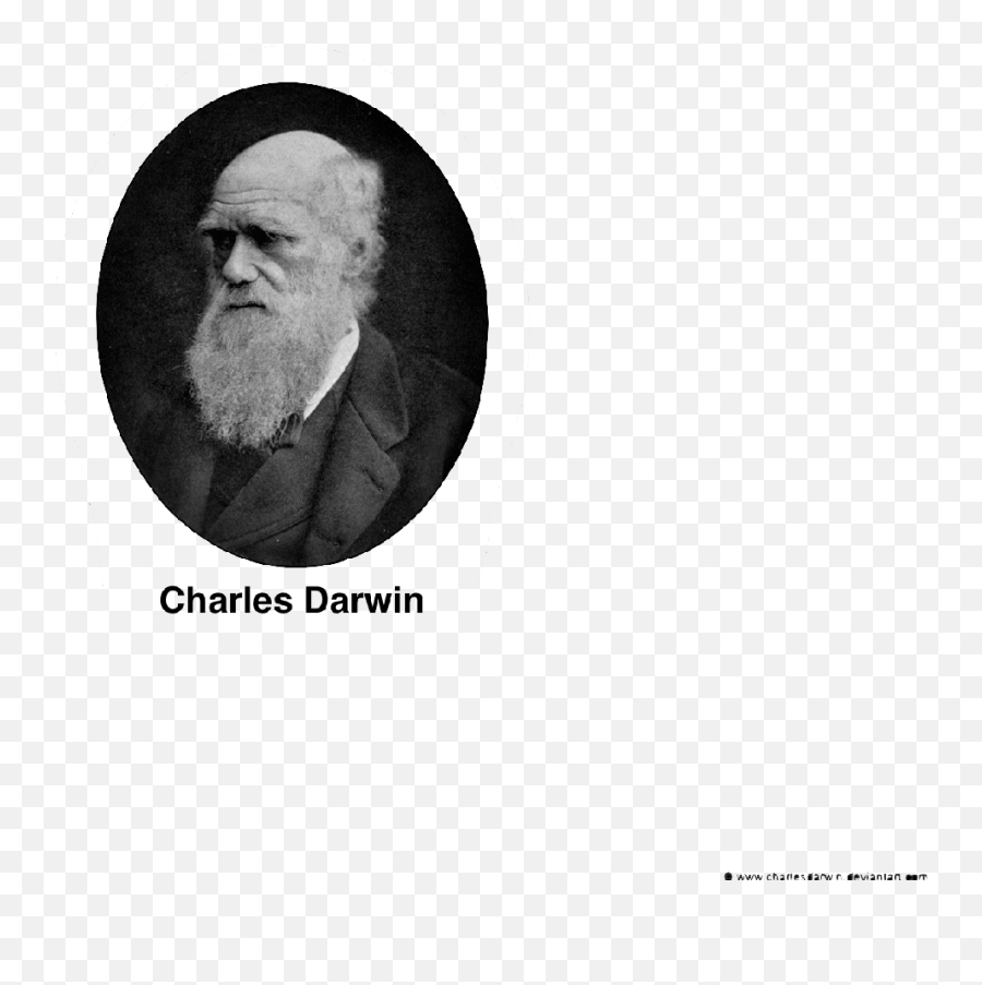 Charles Darwin Wallpapers Posted By Ethan Simpson Emoji,Charles Darwin Emotion Quote