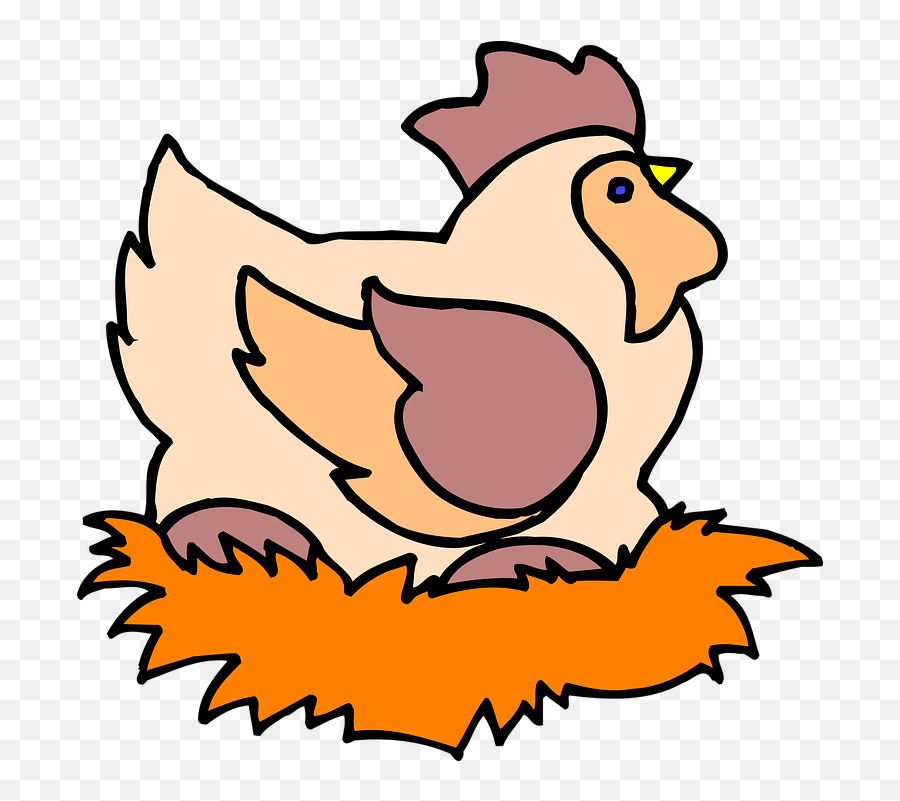 Free Photo Chicken Poultry Lay Animal - Sarang Telur Ayam Animasi Emoji,Chicken And Egg In Emotions