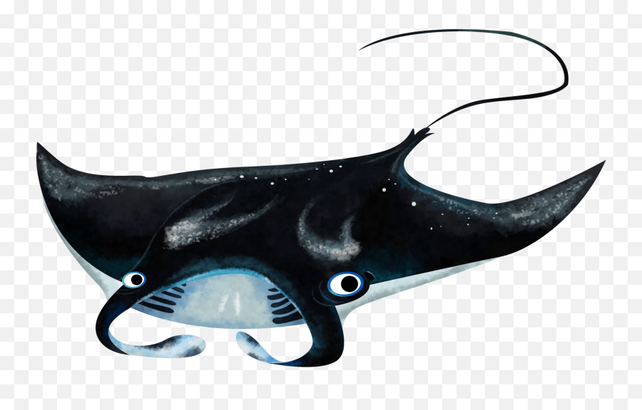 Reef Manta Ray - Save Our Seas Foundation Emoji,Dive Fins Emoji