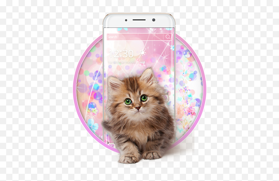 Salmon Cute Cat 2d Theme - Cat Emoji,Cat Emojis For Android