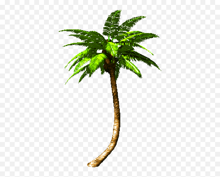 Lil Ling 2015 - Moving Palm Tree Gif Png Emoji,Huffy Emoji