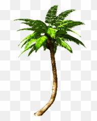 Lil Ling 2015 - Moving Palm Tree Gif Png Emoji,Huffy Emoji