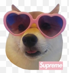 Shibe Shiba Shibainu Heart Sticker - Transparent Shiba Inu Heart Emoji,Shibe Emoji