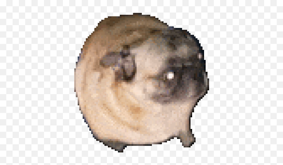 Emote Ideas Thread - Dancing Pug Gif Transparent Emoji,Megumin Emoji