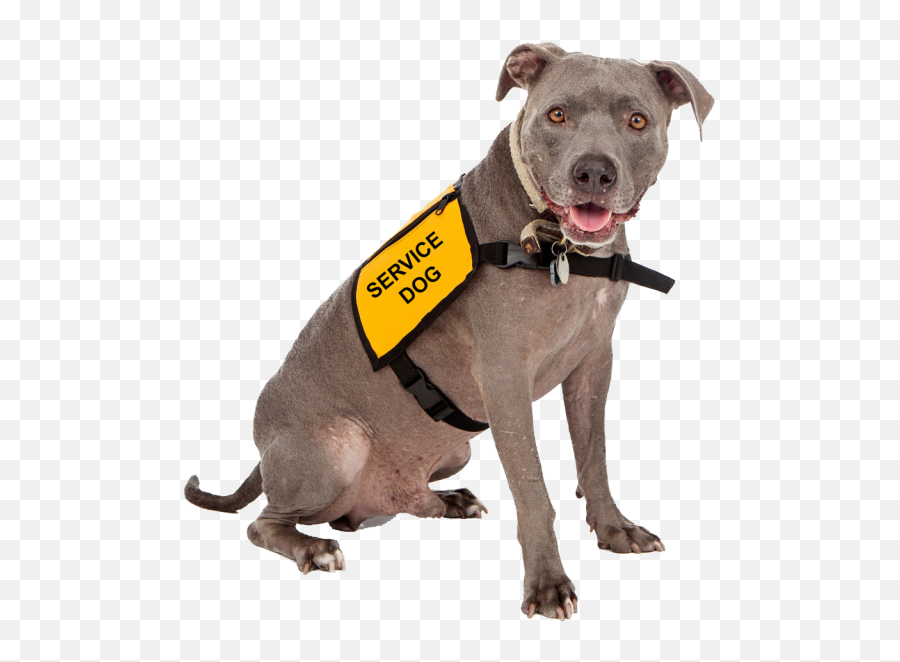 Service Dog Training - Service Dog Emoji,Emotion Support Animal