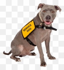 Service Dog Training - Service Dog Emoji,Emotion Support Animal