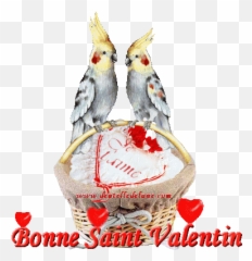 Top Parrot Stickers For Android U0026 Ios Gfycat - Gif Animé Saint Valentin Emoji,Slack Parrot Emoji
