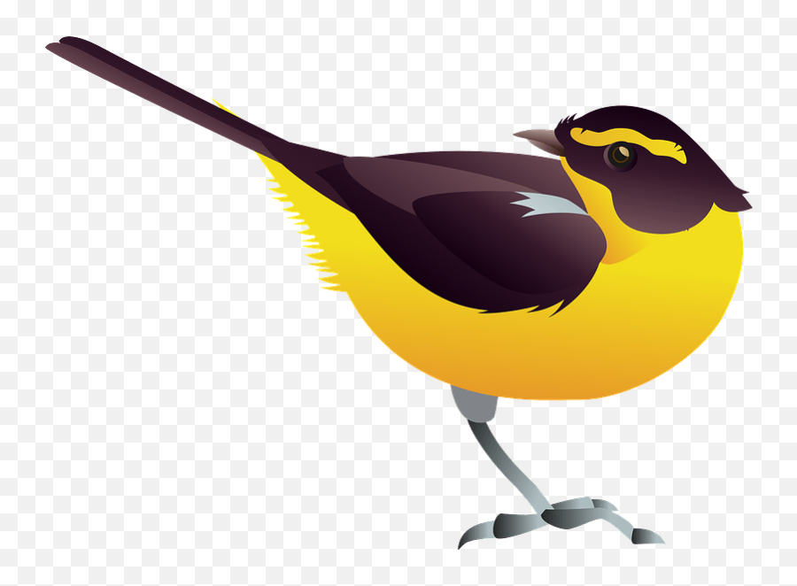 Narcissus Flycatcher Bird Clipart Free Download Transparent - Old World Flycatchers Emoji,Big Bird Emoji