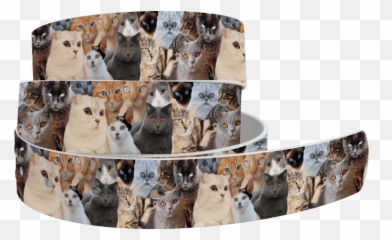 Products Tagged Patterned Belt - Equestrian Team Apparel Collar Emoji,Cat Emoji Heels