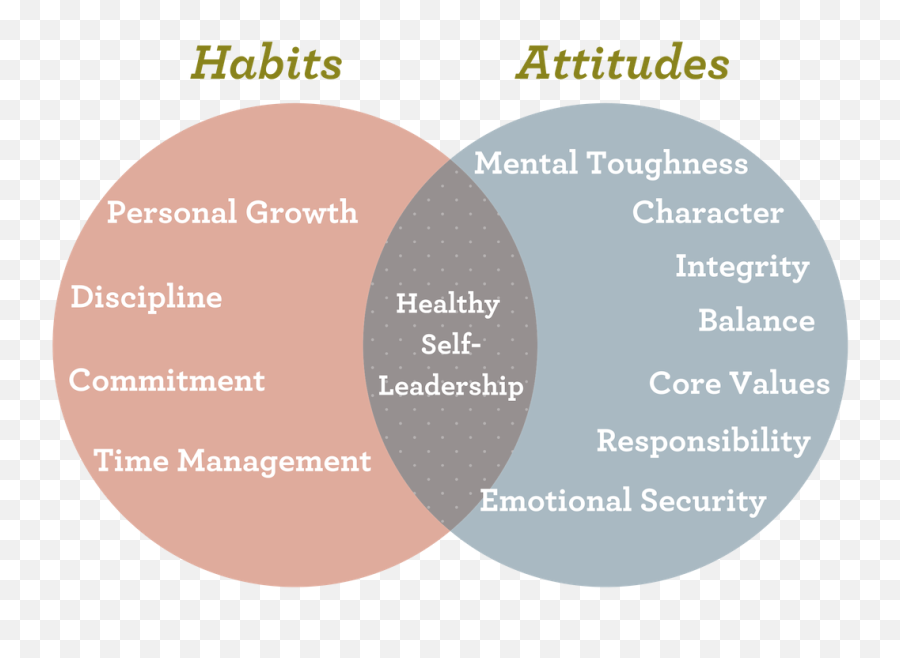Character Venn Diagram - Vorte Venn Diagram Of Values And Attitude Emoji,Primary Emotions Circle Chart