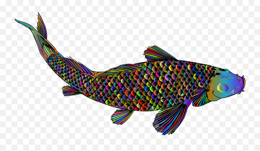 Free Photo Fish Animal Colorful - Fish Emoji,Ocean Animal Emotions
