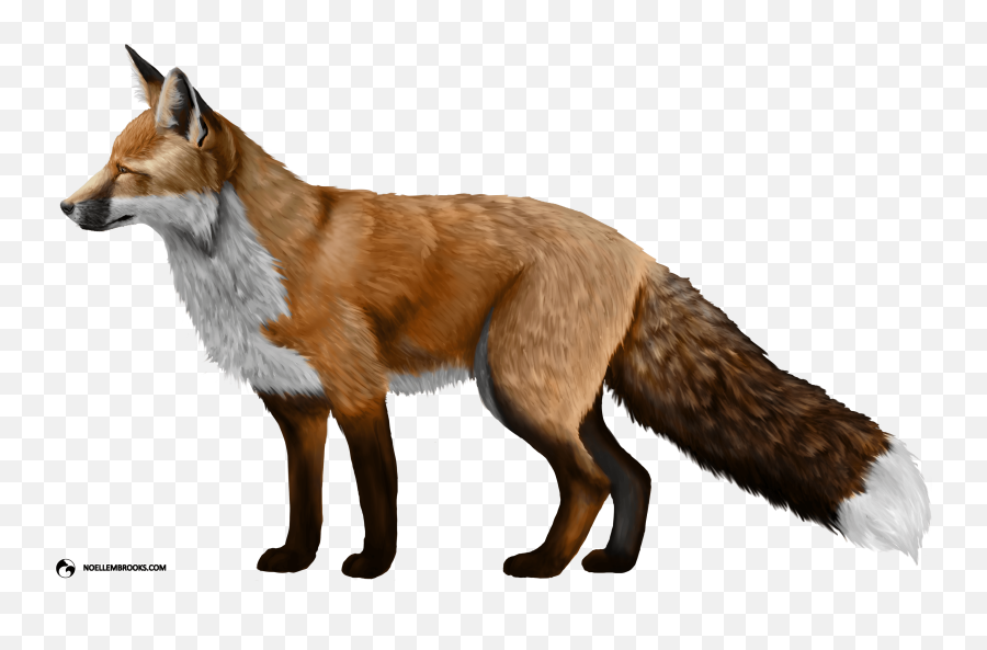 The History Of Fox Domestication At - Fox Png Emoji,Fox Amnimal Emotions